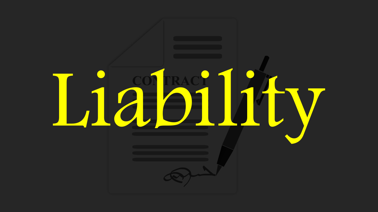 What is Liability? Meaning, Features, and More.