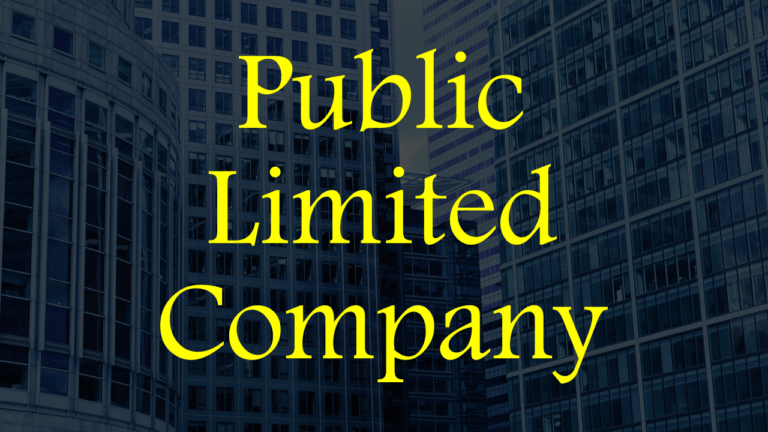 What Is A Public Limited Company Meaning Features And More   What Is A Public Limited Company Meaning Features And More 768x432 