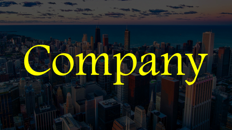 What is the Company? Meaning, Features and More.